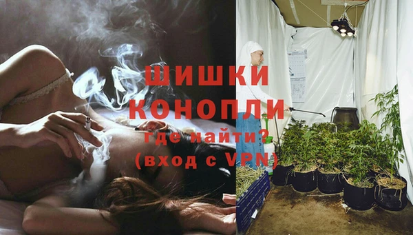 прущие крисы Аркадак