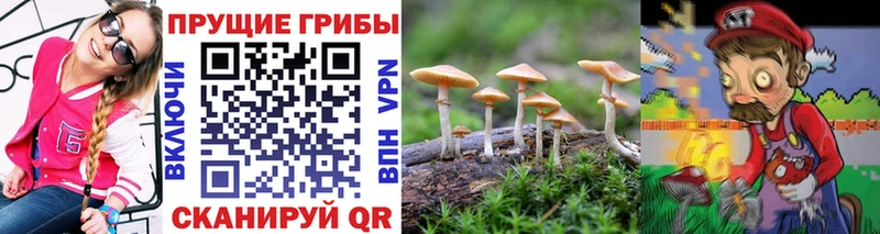 Галлюциногенные грибы ЛСД  OMG сайт  Сердобск  где продают наркотики 